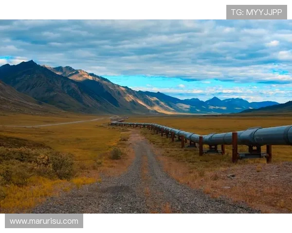 K8电子试玩常见问题解答及故障排查全攻略